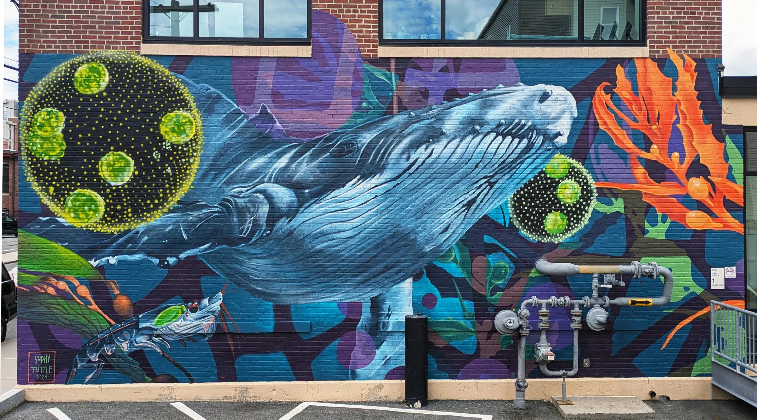 Murals by Sophy Tuttle — Sophy Tuttle Studios